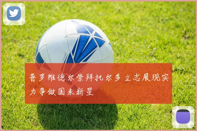 普罗维德尔崇拜托尔多立志展现实力争做国米新星